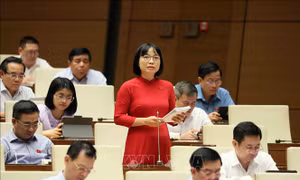 Thực hiện quyết liệt các biện pháp ngăn chặn tình trạng lừa đảo trực tuyến