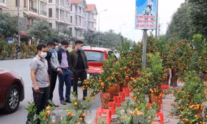 Bắc Ninh tạm dừng tổ chức lễ hội dịp Tết Nguyên đán Nhâm Dần