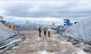 Gia Lai: Yêu cầu nhà máy sản xuất phân bón vi sinh thực hiện nghiêm giải pháp bảo vệ môi trường