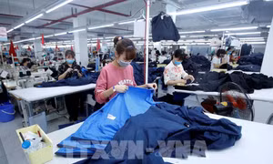 Tận dụng cơ hội từ EVFTA - Bài 1: Đường 'cao tốc' vào EU đã mở