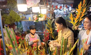 Đi chợ hoa đêm để được 'chạm' vào Tết