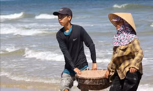 Ngư dân Quảng Trị được mùa ruốc
