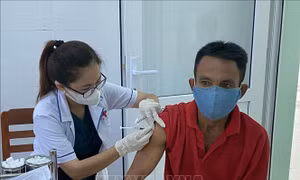 Ninh Thuận quyết tâm hoàn thành tiêm vaccine mũi 3 vào cuối tháng Ba