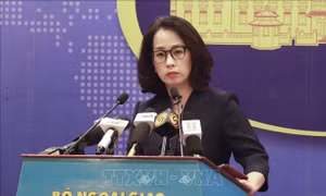 Việt Nam triển khai công tác bảo hộ công dân tại Nhật Bản trước cảnh báo động đất, sóng thần