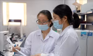 Giám sát, không để sốt xuất huyết bùng phát trên diện rộng