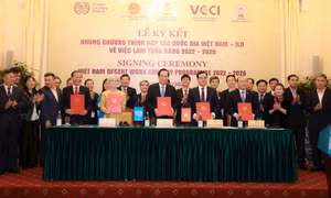 Hợp tác giữa Việt Nam - ILO về Việc làm thỏa đáng giai đoạn 2022 - 2026