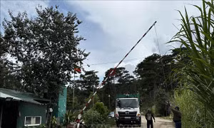 Lập bãi rác dự phòng sau khi nhà máy xử lý rác cho Đà Lạt ngưng hoạt động