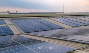 Thời hạn Hoa Kỳ điều tra chống bán phá giá và chống trợ cấp pin năng lượng mặt trời từ Việt Nam