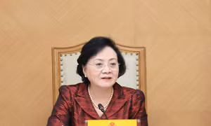 Đánh giá thực chất hiệu quả vận hành bộ máy chính quyền địa phương 2 cấp
