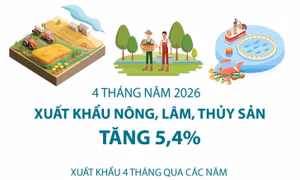 4 tháng năm 2026: Xuất khẩu nông, lâm, thủy sản tăng 5,4%