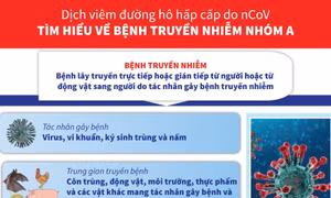 Tìm hiểu về bệnh truyền nhiễm nhóm A