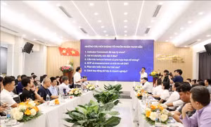 Tham vấn xây dựng khung tiêu chuẩn chất lượng tự nguyện cho cà phê Robusta Việt Nam