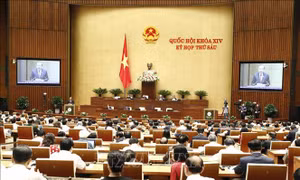 Cử tri đề nghị xóa bỏ triệt để tình trạng 'rút kinh nghiệm' kéo dài