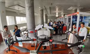 Phát triển nguồn nhân lực khoa học, công nghệ vùng Đồng bằng sông Cửu Long