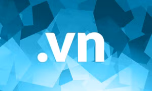 Hiện diện số với tên miền '.vn' thực chất và bền vững