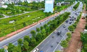Quản lý chặt khu đất quy hoạch xây dựng Công viên Hà Đông