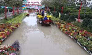 Du lịch Đồng Tháp khởi sắc dịp Tết
