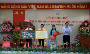 Đồng Tháp có xã nông thôn mới nâng cao đầu tiên