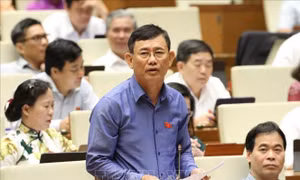 Bên lề Quốc hội: Các đại biểu ủng hộ Quốc hội họp theo hình thức trực tuyến và tập trung