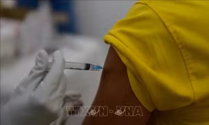Nghiên cứu tại Ấn Độ: Vaccine ngừa COVID-19 không phải là nguyên nhân gây đột tử