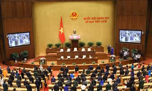 Quyết định nhiều nội dung quan trọng trong ngày làm việc cuối cùng của Kỳ họp thứ 9, Quốc hội khóa XIV