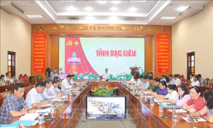 Sạt lở đê Biển Đông, UBND tỉnh Bạc Liêu họp khẩn