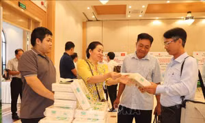Xúc tiến đầu tư, hợp tác công nghệ với Nhật Bản trong phát triển vùng lúa chất lượng cao