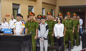 Xét xử 31 bị cáo lừa đảo chiếm đoạt tài sản qua không gian mạng