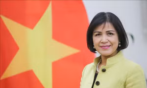 ILO đánh giá cao hợp tác với Việt Nam