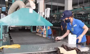 Kiện toàn Hội đồng quốc gia về an toàn, vệ sinh lao động