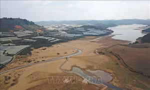 Nắn tạm thời dòng chảy hồ Đankia, khắc phục nguồn cấp nước sinh hoạt bị nhiễm đục