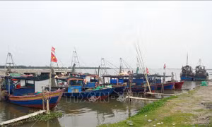 Ninh Bình kêu gọi ngư dân, lao động hoạt động ngoài biển tránh trú bão trước 19 giờ 