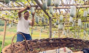 Bắc Kạn: Bảo đảm hỗ trợ hộ nghèo kịp thời, hiệu quả