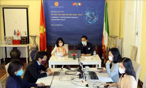 Tăng cường kết nối, thúc đẩy thương mại Việt Nam - Italy