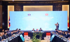 Đẩy mạnh hợp tác phòng, chống ma túy trên tuyến biên giới Việt Nam - Lào