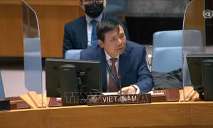 Việt Nam quan ngại về tình hình tại Syria, Ethiopia 