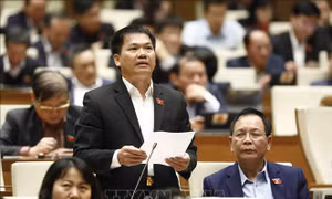 Cần cơ chế ứng phó với vấn đề khẩn cấp chưa có tiền lệ