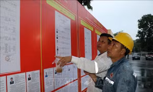 Không tăng ca, làm thêm giờ trong ngày bầu cử