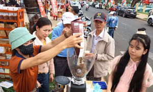 Ngành thương mại, dịch vụ tăng trưởng tích cực do nhu cầu tiêu dùng, du lịch cao