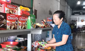 Xử lý nghiêm sai phạm vụ con rể khai tử mẹ vợ khỏe mạnh để độc chiếm nhà tiền tỷ