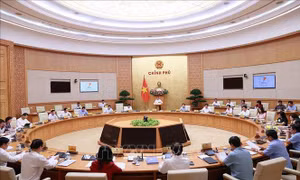Tập trung nguồn lực cao nhất, thực hiện các dự án Luật đúng tiến độ