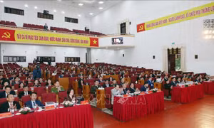 Phát triển nông nghiệp theo hướng sản xuất hàng hóa tập trung gắn với tăng cường liên doanh