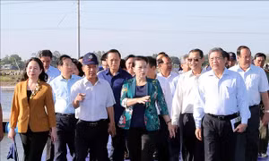 Chủ tịch Quốc hội Nguyễn Thị Kim Ngân thăm và làm việc tại An Giang