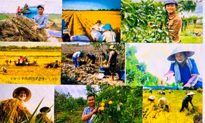 Thúc đẩy 'tri thức hoá nông dân'