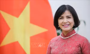60 năm quan hệ Việt Nam - Lào: Phái đoàn hai nước tại Geneva giao lưu hữu nghị