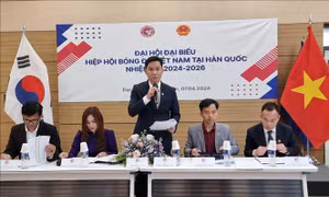 Hiệp hội Bóng đá Việt Nam tại Hàn Quốc phát huy vai trò kết nối