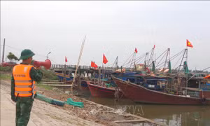 Ứng phó bão số 1: Kiểm soát chặt việc điều động tàu, thuyền đến khu neo đậu tránh, trú bão