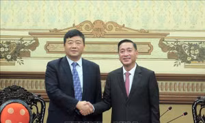 Thành phố Hồ Chí Minh và tỉnh Quảng Tây, Trung Quốc thúc đẩy hợp tác giữa hai cơ quan dân cử