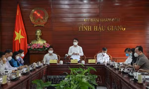 Hậu Giang phấn đấu cuối tháng 8 sẽ 'xanh hóa' toàn tỉnh
