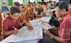Hiệu quả chính sách chi trả dịch vụ môi trường rừng